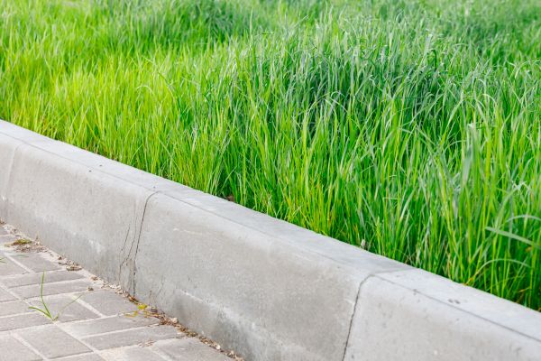 Concrete Curb Repair in Grand Junction