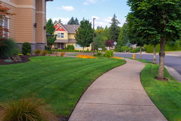 Sidewalk Patching in Grand Junction