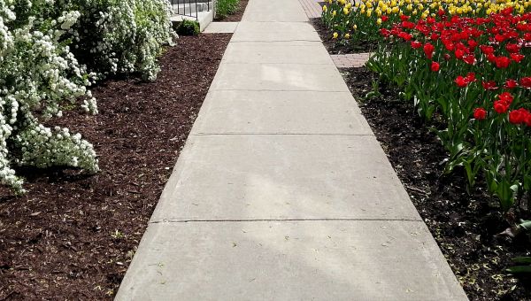 Concrete Pathway Repair in Grand Junction