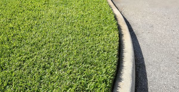 Driveway Curb Repair in Grand Junction
