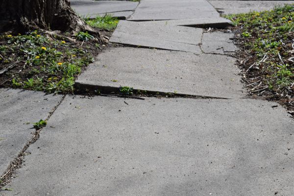 Cost of Trip Hazard Removal in Grand Junction